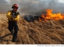 Elk Mountain Fire