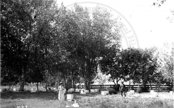 Sturtevant, J. B. (Joseph Bevier), 1851-1910 (Boulder, Colo.) Photographer